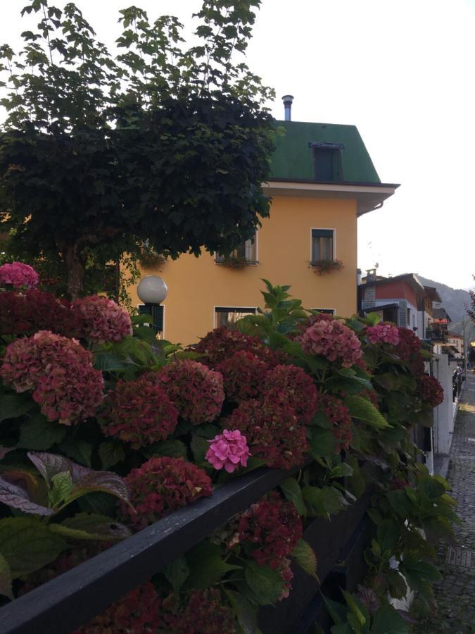 Residenza La Ciasa Aparthotel Claut Luaran gambar